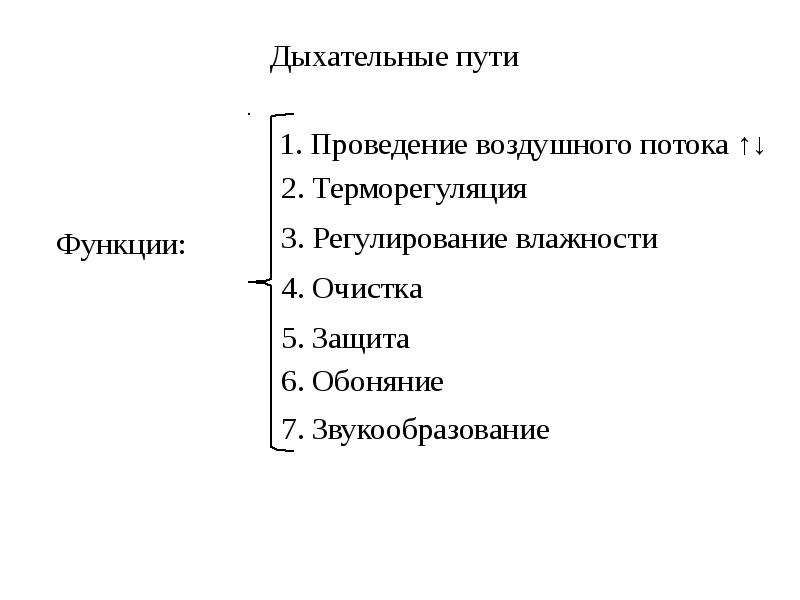 Биомеханика дыхания презентация