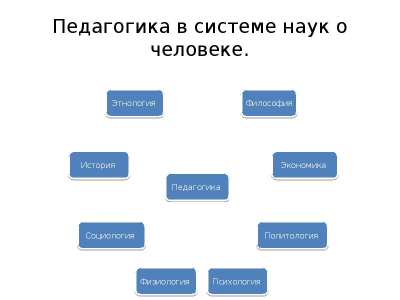 Место педагогики в системе наук о человеке схема