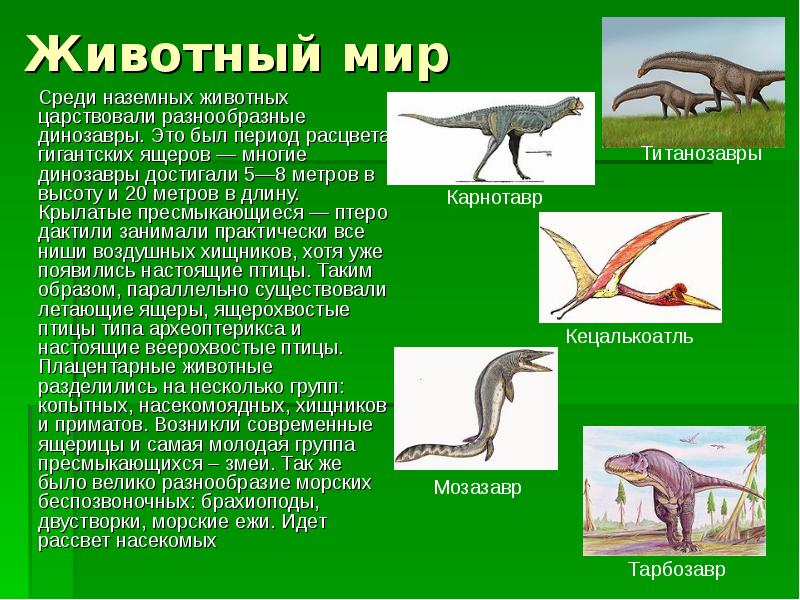 Вендский период презентация