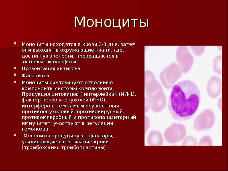 Заболевания органов кроветворения у детей презентация