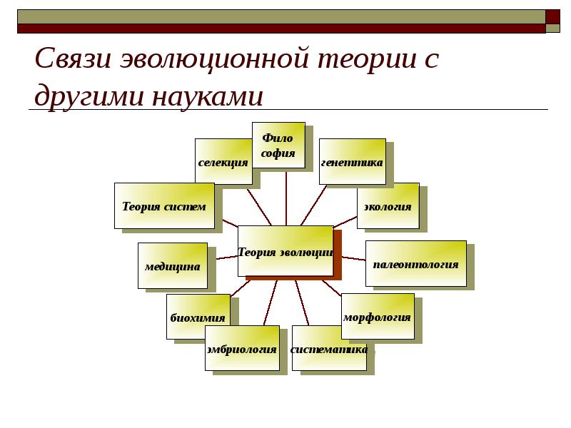 Науки связанные с человеком. Связь эволюции с другими науками. Связь эволюции с другими науками биологии. Связь эволюционной биологии развития с другими науками. Связь биологии с другими науками схема.