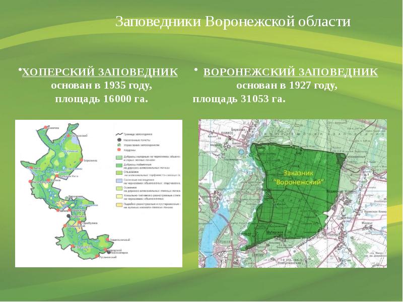 Заповедники воронежской области презентация