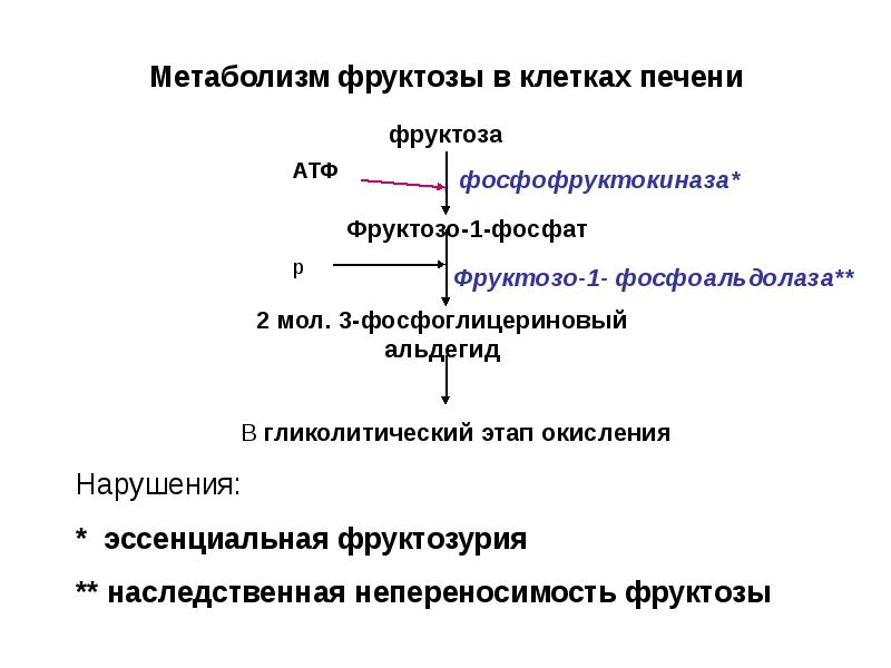 Наследственные нарушения обмена углеводов презентация