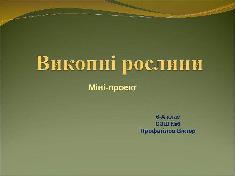 Міні-проект