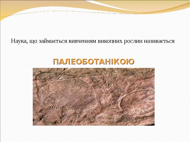 Наука, що займається вивченням викопних рослин називається   ПАЛЕОБОТАНІКОЮ