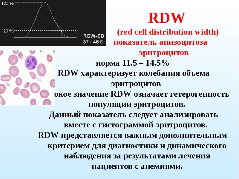 Что значит rdw cv. Показатель анизоцитоза эритроцитов RDW. Норма анизоцитоза эритроцитов. ОАК RDW. RDW норма.
