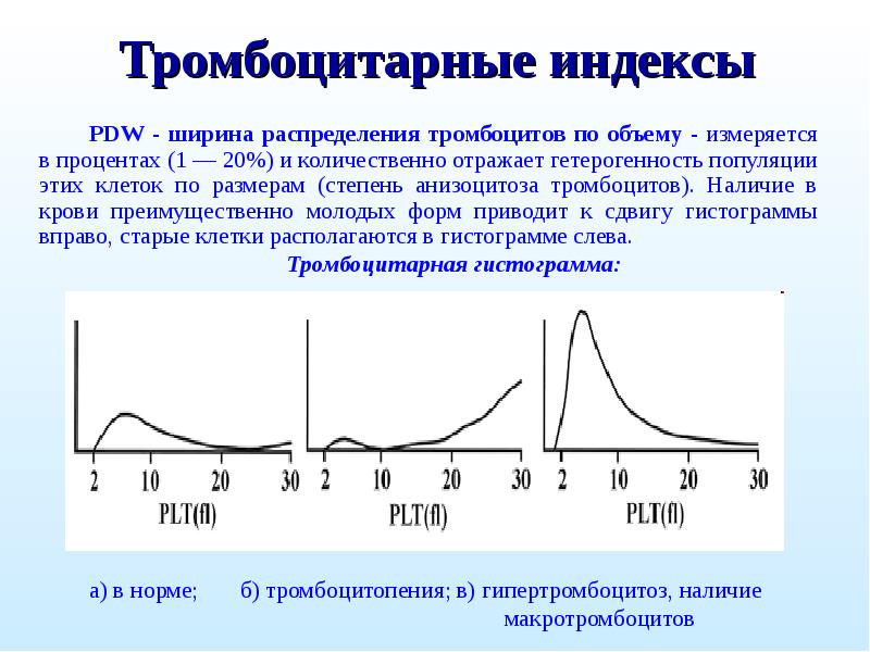 Презентация на тему общий анализ крови