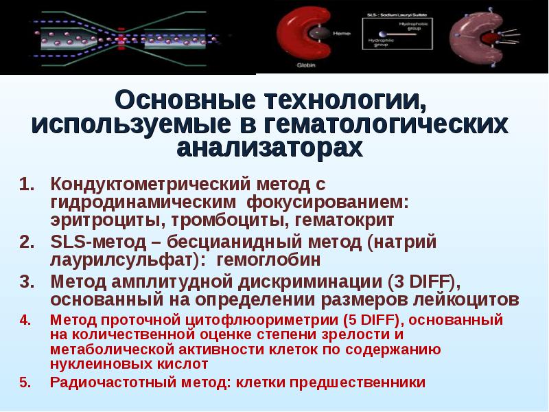 Презентация на тему общий анализ крови