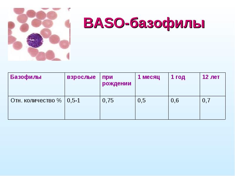 Презентация на тему общий анализ крови