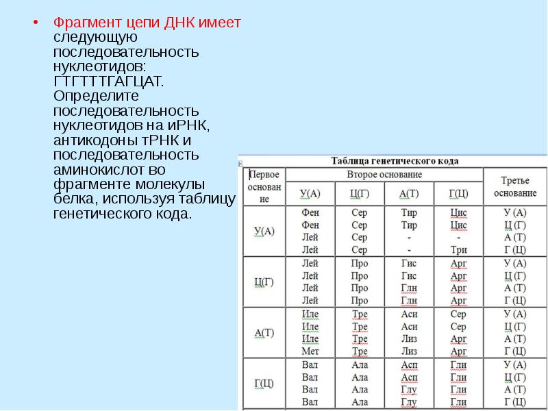 Фрагмент цепи рнк имеет последовательность нуклеотидов. Цепь аминокислот белка таблица. Таблица аминокислот во фрагменте молекулы белка.. Последовательность ну. Дне последовательность нуклеотидоа.