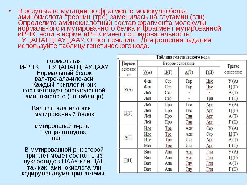 Последовательность аминокислот в молекулах белков