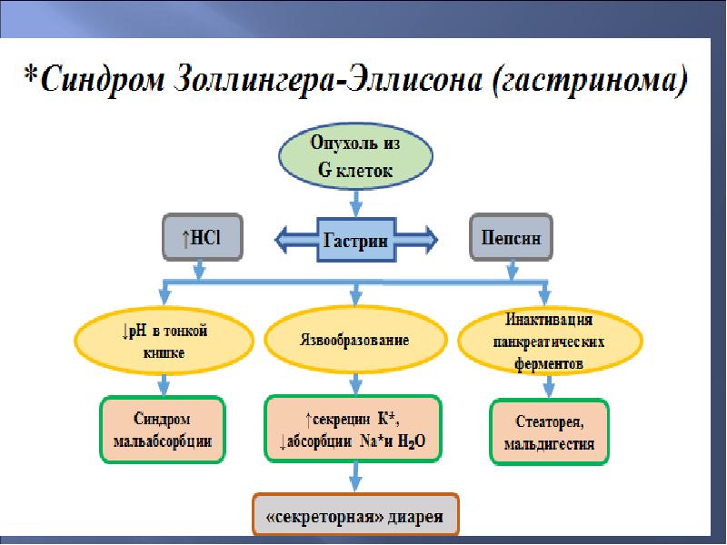 Синдром золлингера эллисона картинки