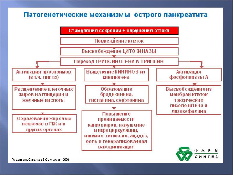 Игма патофизиология план