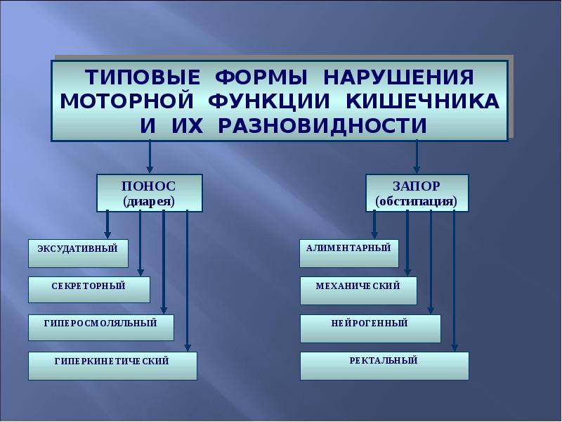 Виды поносила