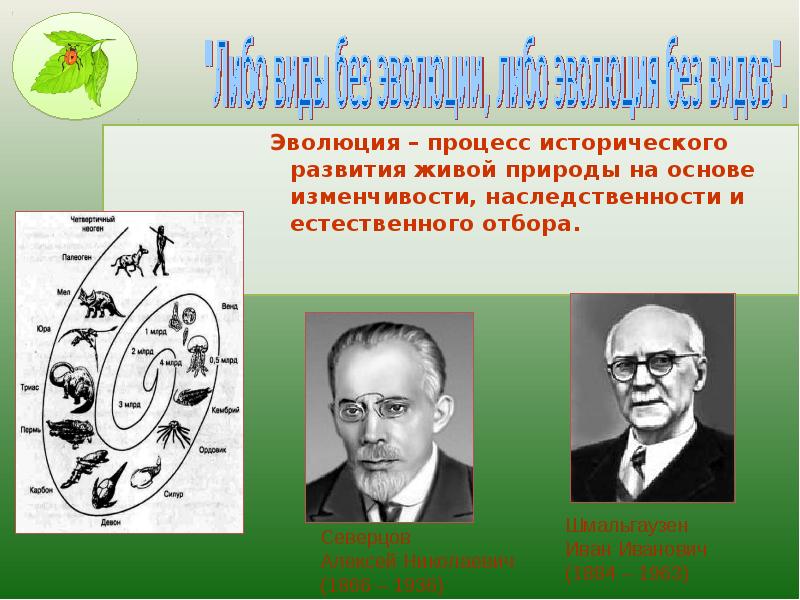 Процесс развития живой природы. Процесс эволюции. Историческое развитие живой природы. Процесс исторического развития живой природы. Естественный процесс развития живой природы.