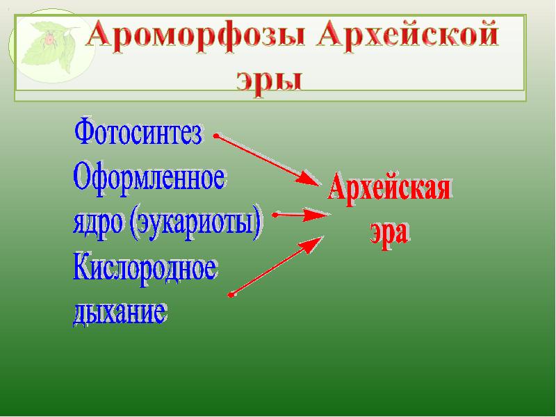 Главное событие архея