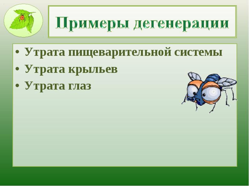 процесс переваривания пищи в организме человека. главные направления эволюции пищеварительной системы. примеры дегенерации у животных. утрата пищеварительной системы. общая дегенерация примеры.