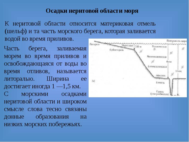 Материковая отмель сканворд 5. Матерпиковыйф искалон. Шельф. Шельф материковый склон. Континентальный шельф континентальный склон.
