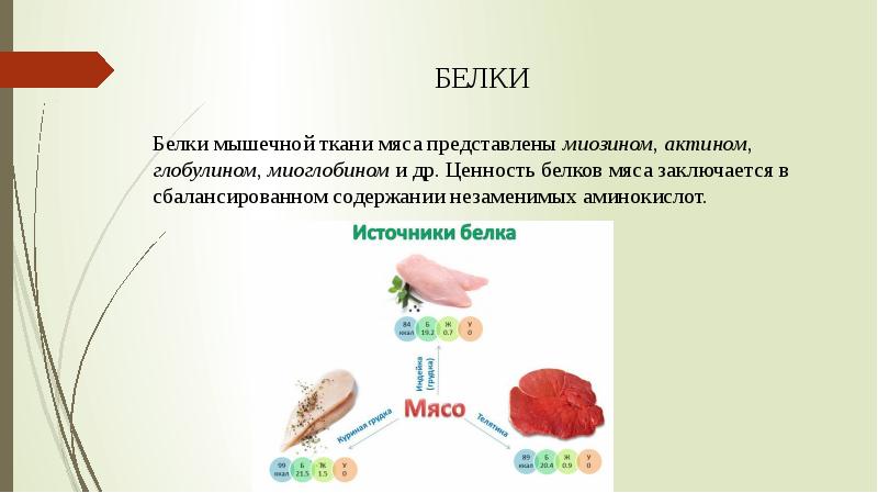 Реферат: Пищевая и биологическая ценность белков