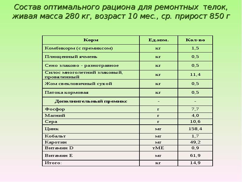 Оптимальный состав. Рацион для молодняка КРС. Рационы кормления телят таблица. Рацион питания для коровы таблица. Рацион для ремонтных телок.