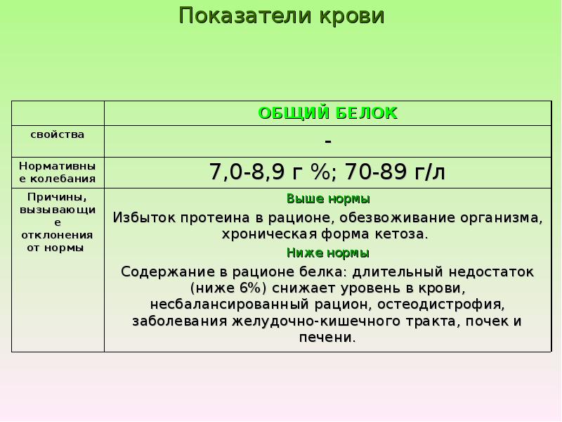 белки продукты. избыток протеина. здоровое питание белки. белковые продукты для спортсменов. избыток крахмала в рационе коров.