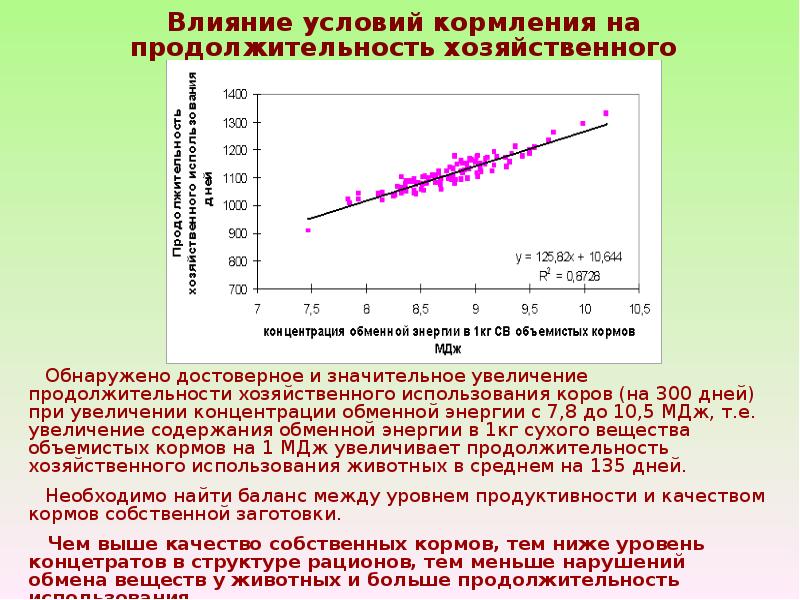 Условия кормления