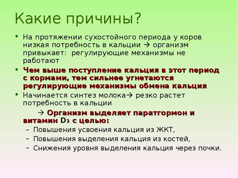 Кормление стельных сухостойных коров. Длительность сухостойного периода у коров. Особенности кормления сухостойных коров. Кормление коров в сухостойный период. Период лактации у коров.