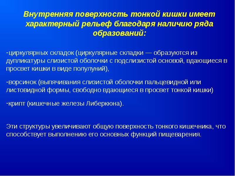 Почему тончайший поверхностный. Дупликатура слизистой оболочки. Площадь тонкого кишечника.