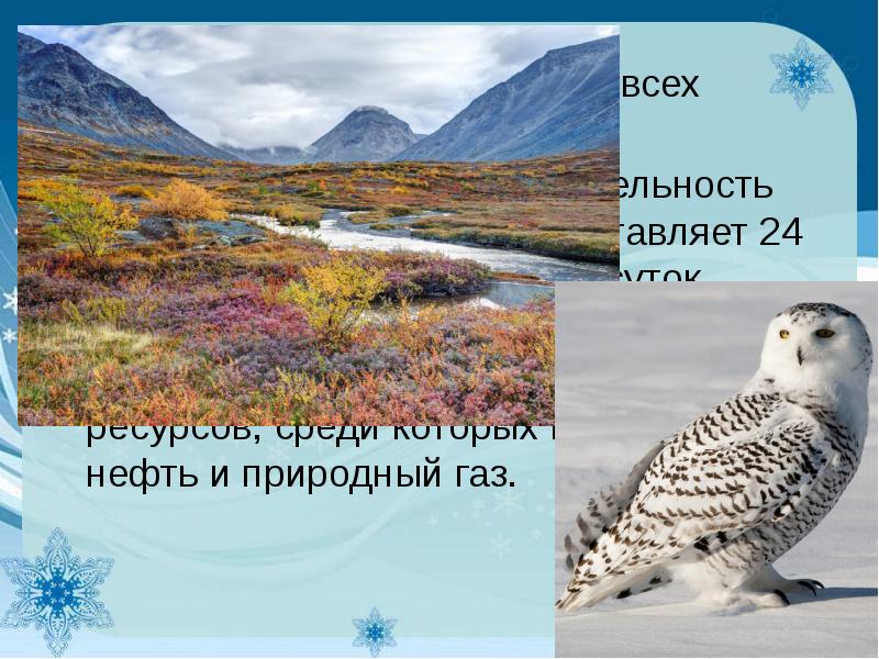 Продолжительность лета в тундре. Богатства тундры. Тундра и ее обитатели. Подводный мир тундры. Богатства тундры использует человек.