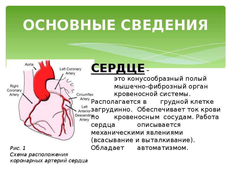 Реферат по теме Профилактика заболеваний сердца