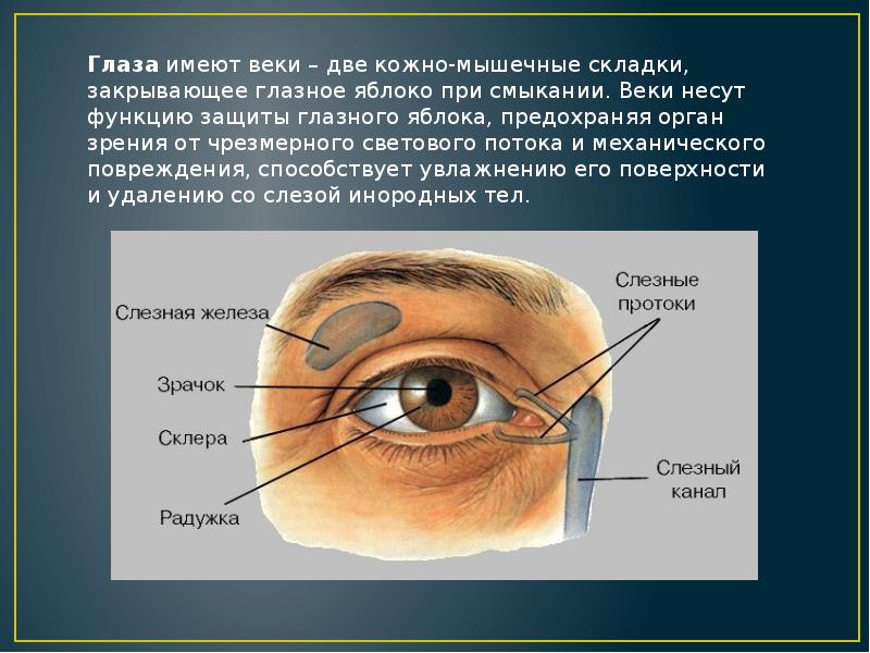 Как поставить защиту на человека от магических воздействий на расстоянии по фото