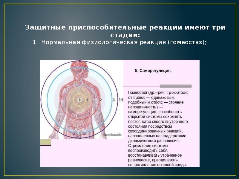 Защитная реакция организма