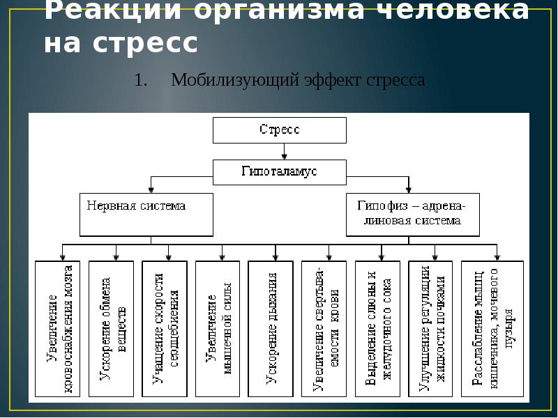 Естественные системы защиты организма презентация