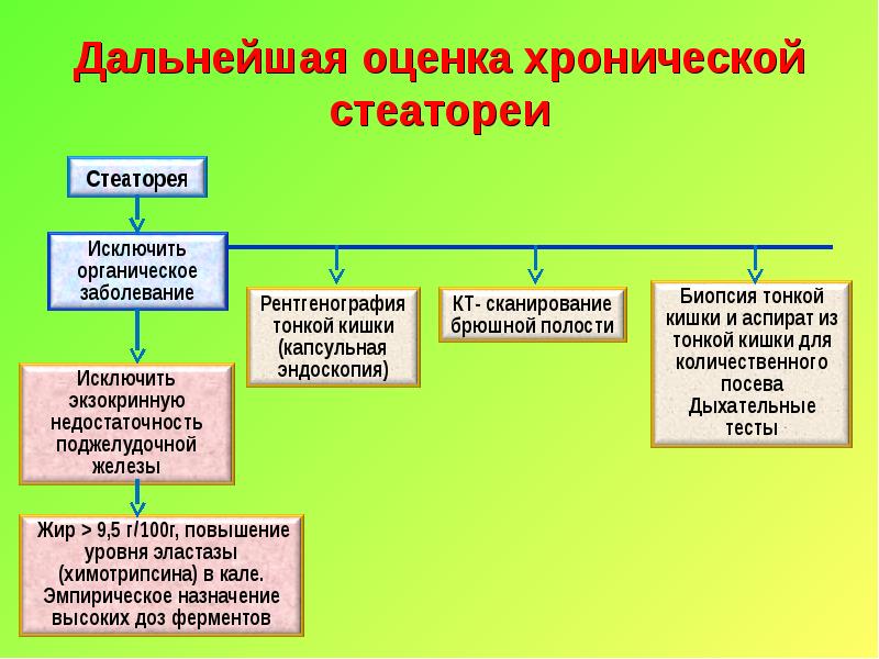 Хроническая стеаторея