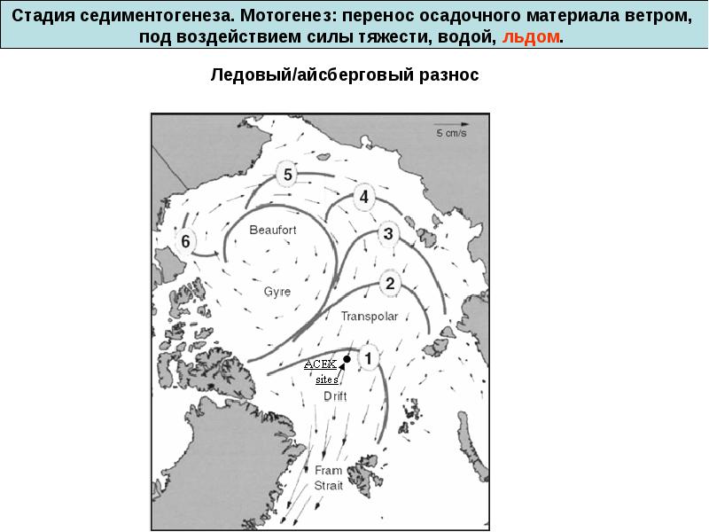 Под воздействием силы. Ледовый седиментогенез. Ледовый седиментогенез фото.