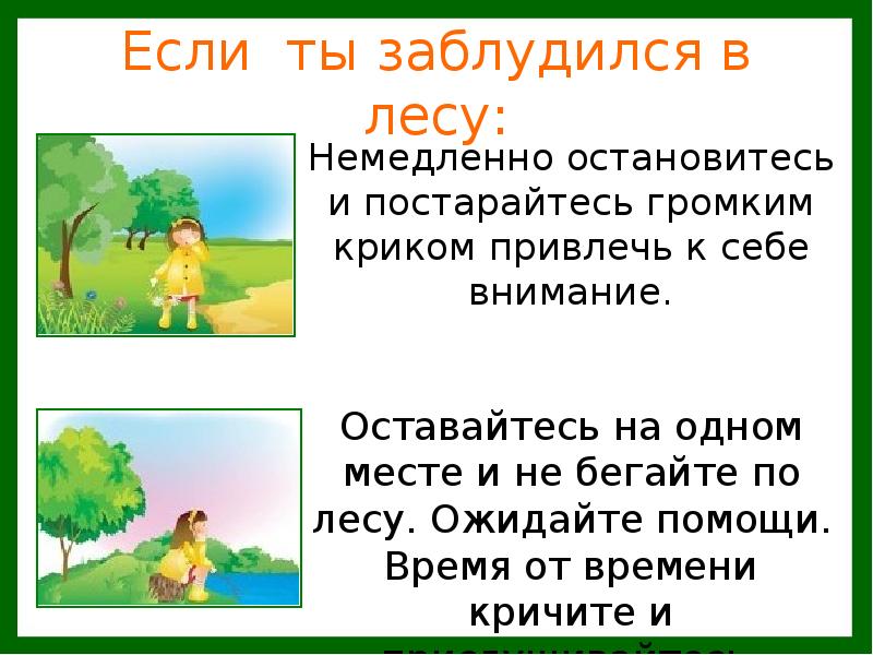 Проект о подробнее о лесных опасностях по окружающему миру