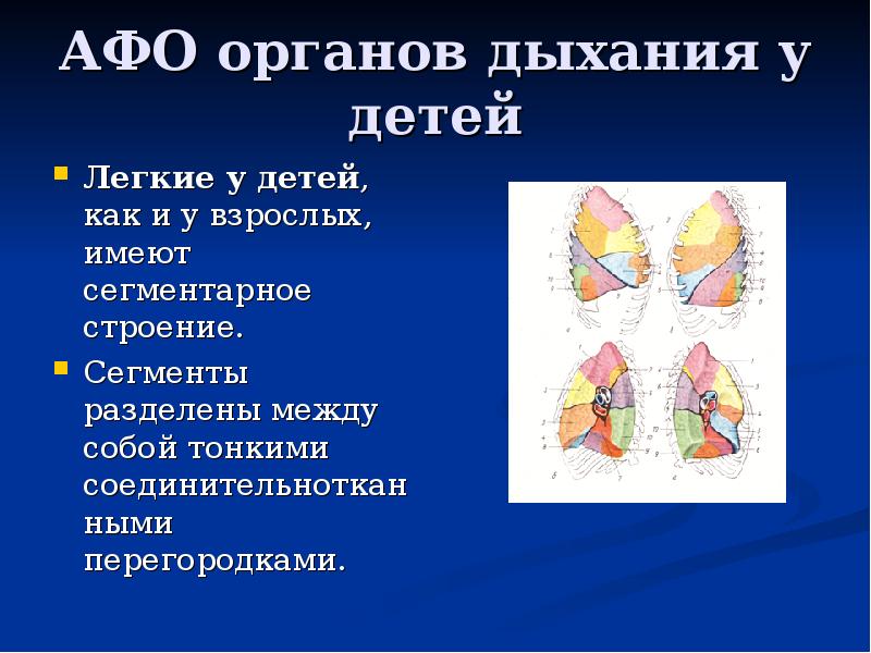 Анатомо физиологические особенности органов дыхания у детей презентация