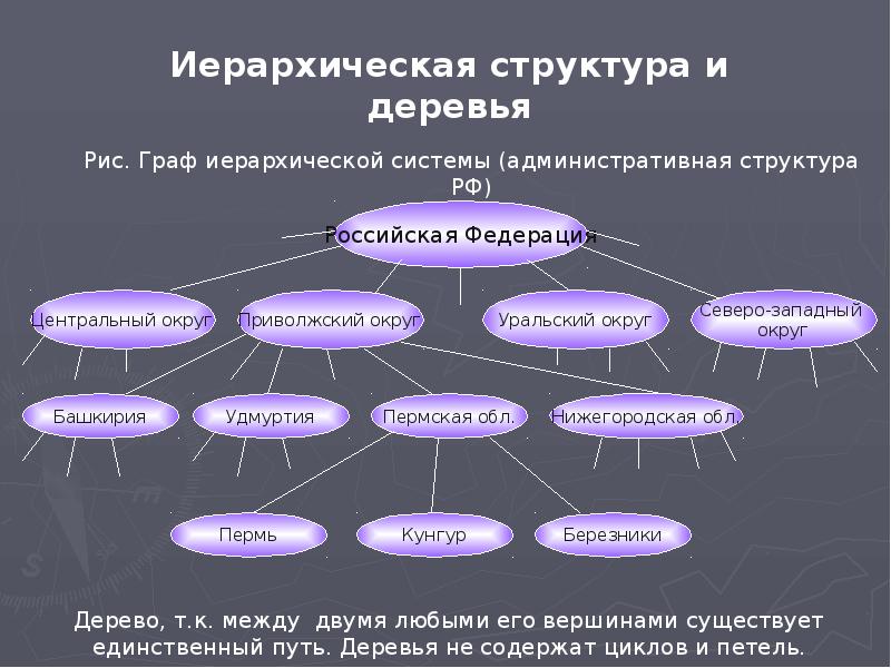 Другие структуры данных. Оргструктура иерархическая. Неиерархическая структура. Иерархическая структура пример. Иерархическая структура дерево.