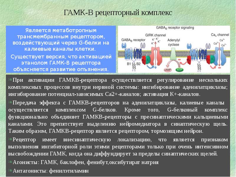 рецепторы осуществляют. анализ внешних раздражителей происходит в. рецепторы осуществляют. рецепторы осуществляют. рецептор это в анатомии.