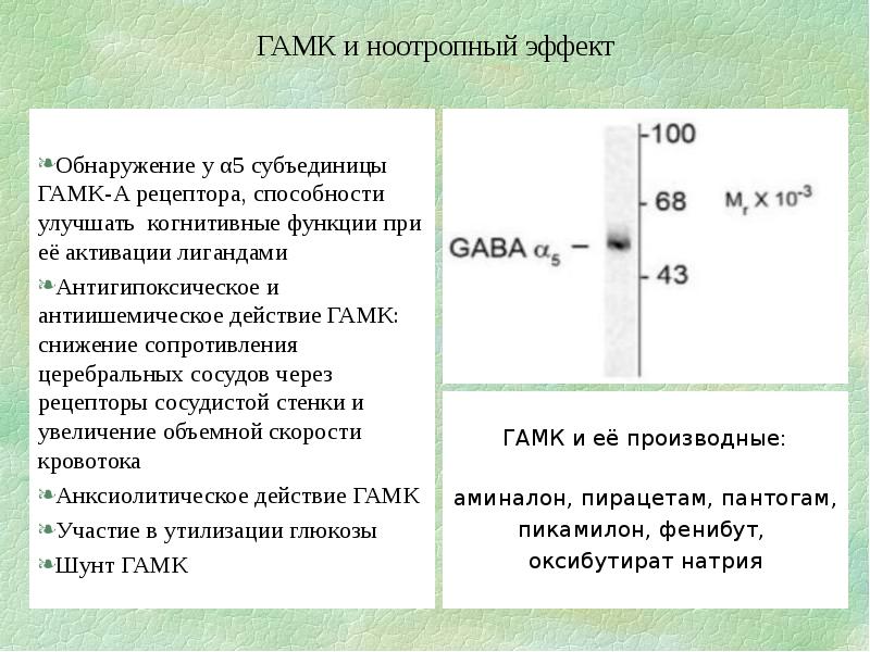 Ингибиторы гамк. Ингибиторы гамк