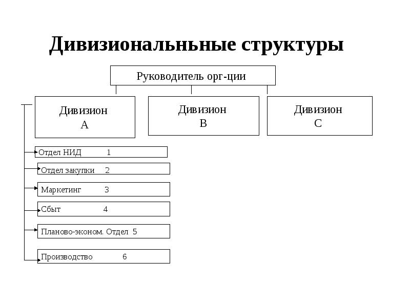 Структура руководителя