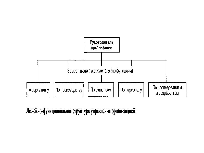 Функции руководства организации