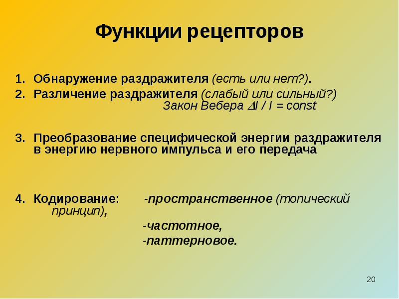 Основные свойства рецепторов это. Физиологические особенности рецепторов. Функции рецепторов.