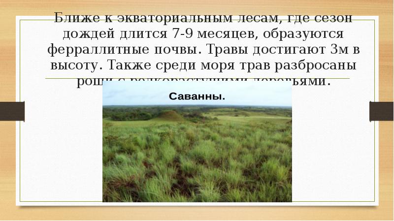 План описания природной зоны саванны