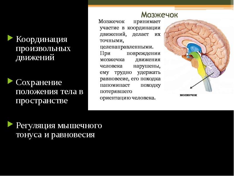 Произвольные движения это