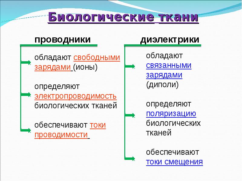 Тело лягушки проводник или диэлектрик. Диэлектрики в биологических тканях. Биологические ткани проводники и диэлектрики. Электрические свойства живых тканей. Диэлектрические свойства тканей.