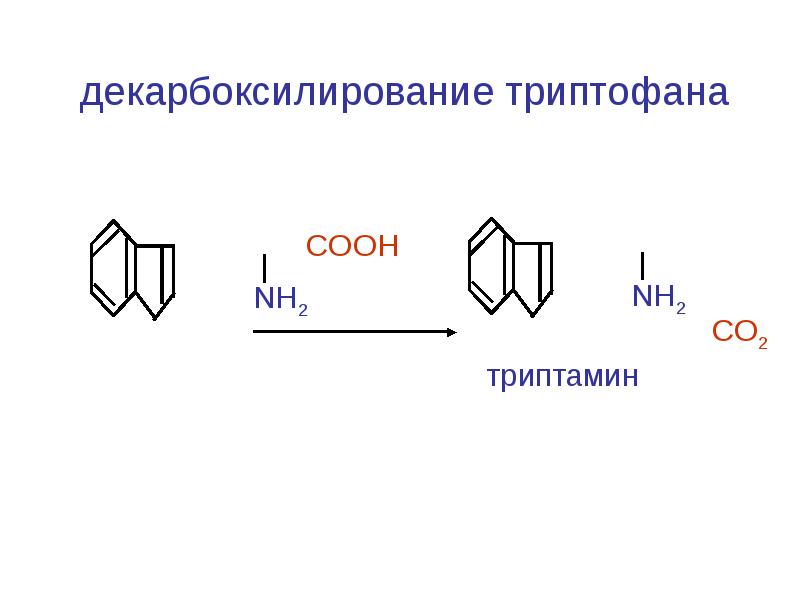 Декарбоксилирование аминокислот - XuMuK.ru Foto 17