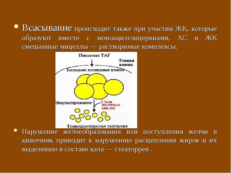 Нарушения липидного обмена презентация