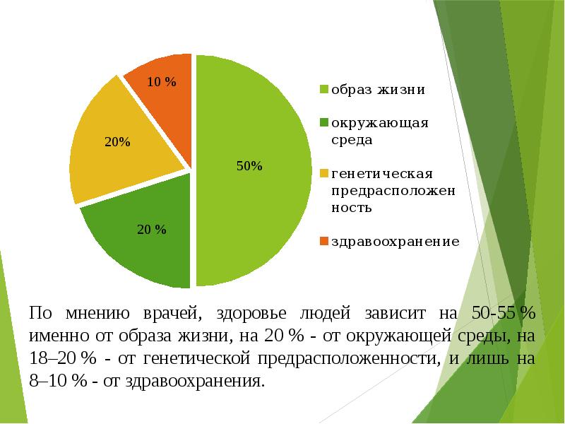 Реферат: Движение - это жизнь и здоровье