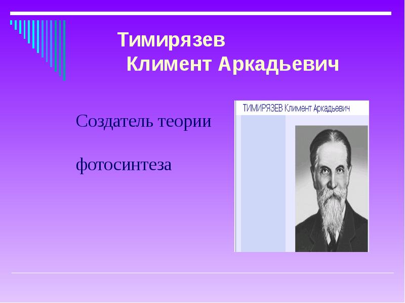 Презентация просвещение и наука 9 класс